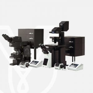 Inverted Microscopes