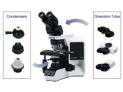 Mikroskop BX43 Customizable