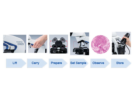 Microscope CX23 Workflow Applications