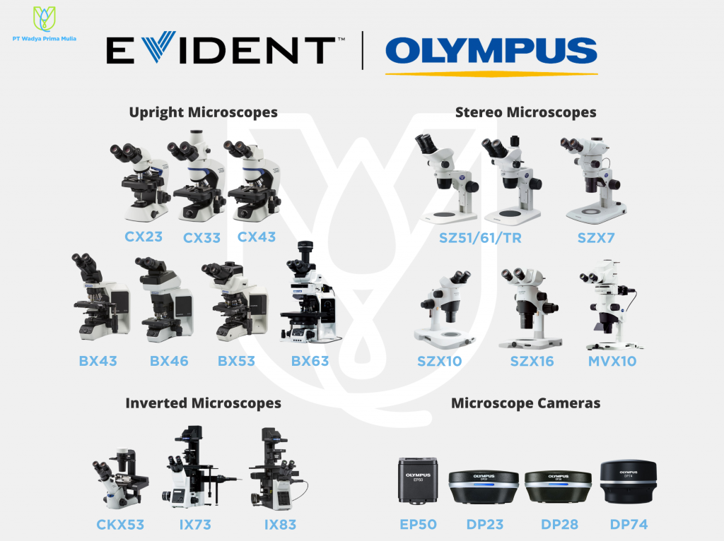 Olympus Microscopes